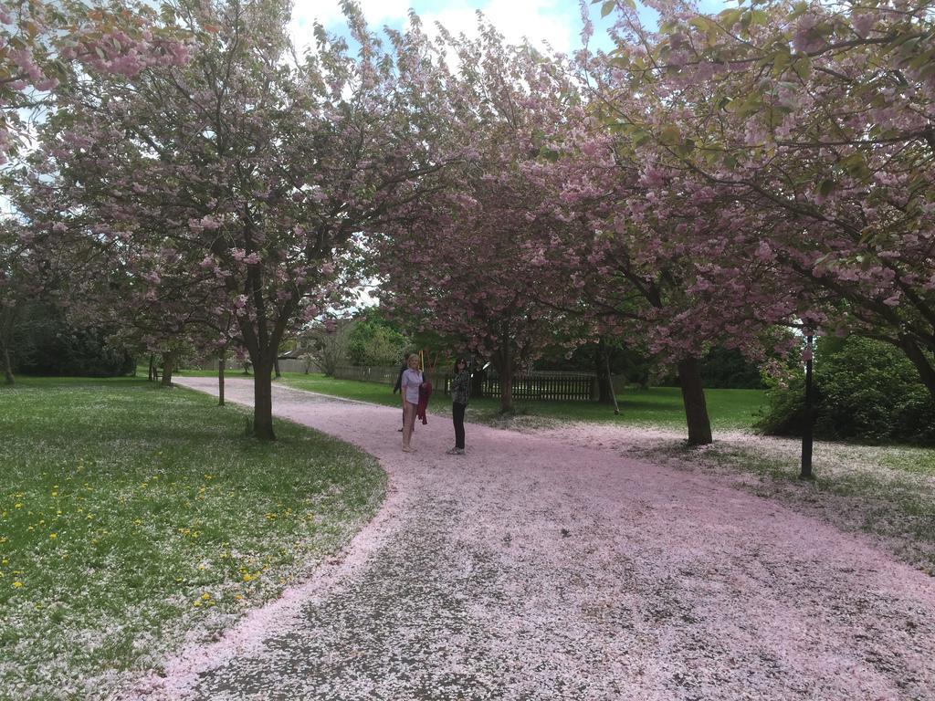 לינה וארוחת בוקר The Westwoods מראה חיצוני תמונה